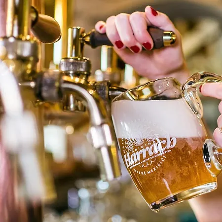 Szálloda Jelinkova Velké Meziříčí