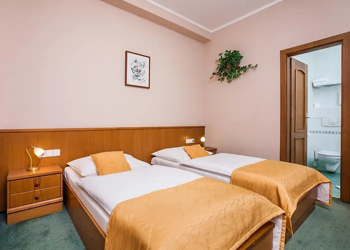 Hotel Jelinkova
