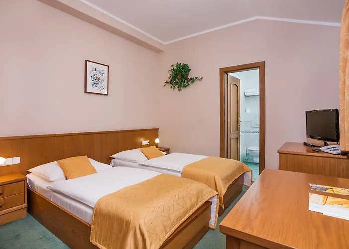 Jelinkova Hotel Velke Mezirici